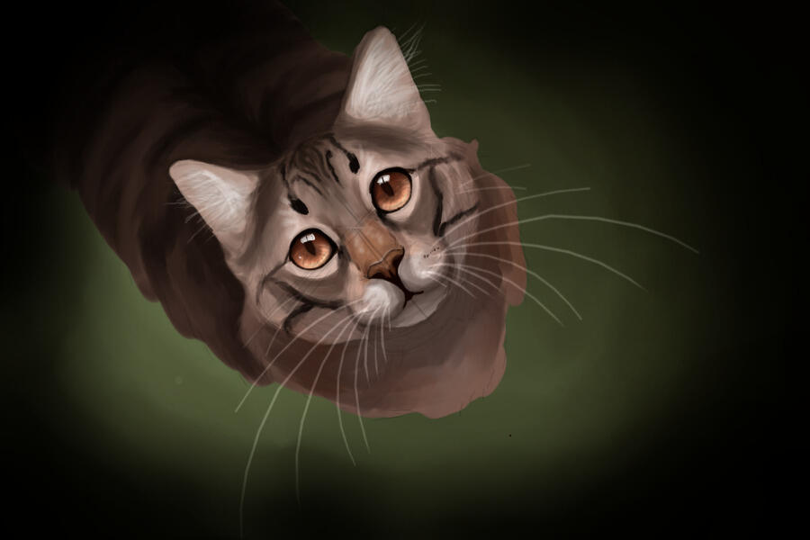 and your eyes look like comin' home