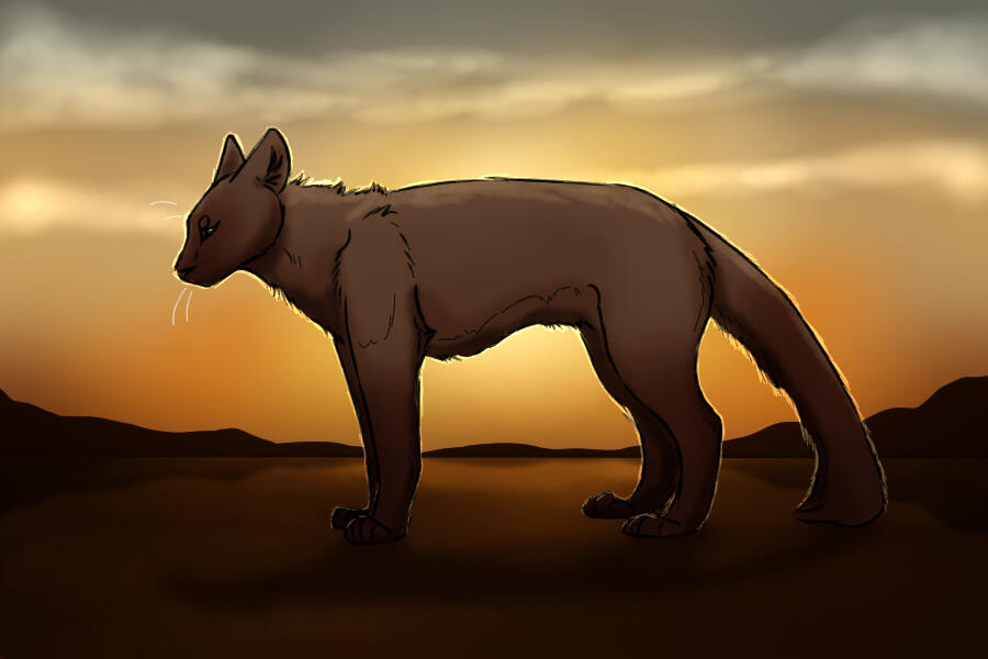 why do you try to save me