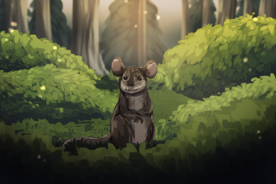 start your life in the middle of the jungle