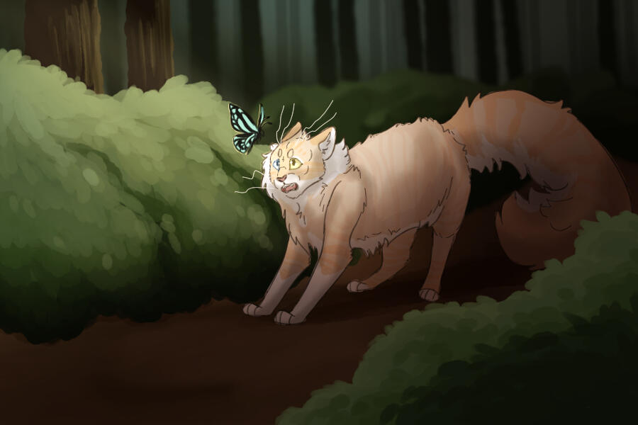 Holes in My False Confidence